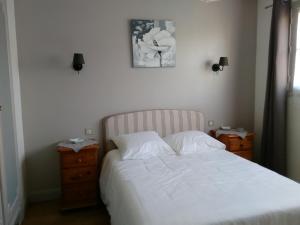 Maisons de vacances La Tribu de Beauval 6ch grand terrain et parking prive : photos des chambres