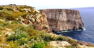 Gozo Says Relax