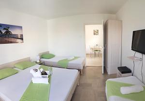 Apartments Villa Naumovi