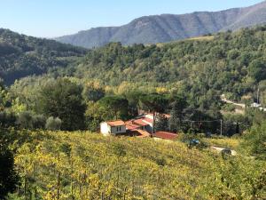 Apartement Il Poggiolo ai Casini Scopeti Itaalia