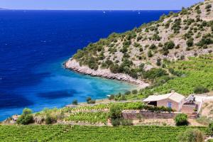 Robinson Villa Afrodita - 3hvězdičkové hotely ve městě Nerežišća