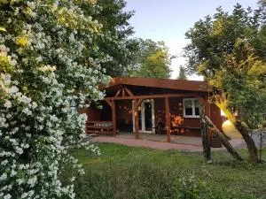 莱斯贵妇人德拉蒙塔涅公寓 - 萨尔格米纳