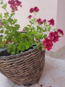 Studio apartment Laura ||