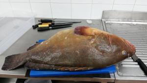 S'apposenteddu Affittacamere del Ristorante da Stefano img21