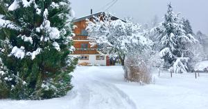 Appartements Studio Romand proche Morzine : photos des chambres