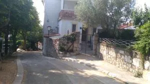 Danijel - Novi Vinodolski