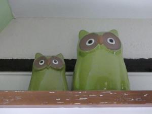 Appartements La Fabiola : photos des chambres