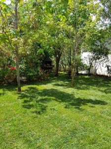 La casa di Laura img22