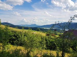 Ferienhaus Landhaus Riess Zell am Moos Österreich