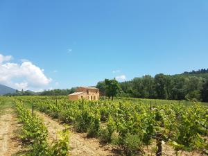 Maisons de vacances le bastidon : photos des chambres