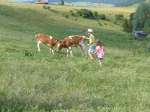 Dom Wypoczynkowy Marta