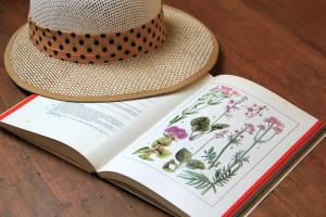 B&B Locanda dei Tigli