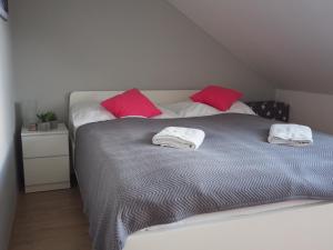 Dolní Morava - Apartmán 15