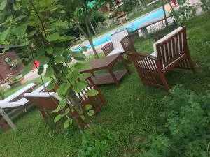 Rossella alla Villarella dei Tulipani - Azzano d'Asti