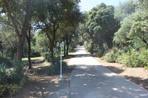 Appart'hotels Residence Helios : Appartement 2 Chambres Supérieur (6 Adultes)