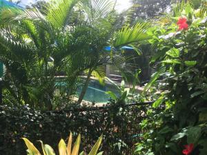 Tropical Palms Resort & 4WD Hire