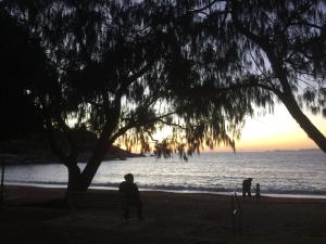 Tropical Palms Resort & 4WD Hire