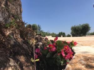 Villa con Vista Giardino