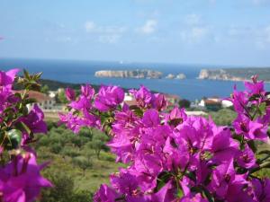 Ferienhaus Gianna's Guesthouse Pylos Griechenland