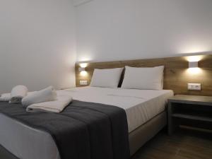 Hotel Vozina