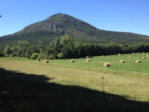 B&B / Chambres d'hotes Le Bois Fae : photos des chambres