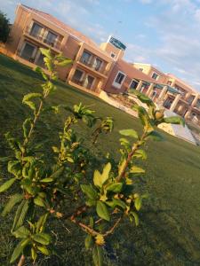 Finiki Plaza Messinia Greece