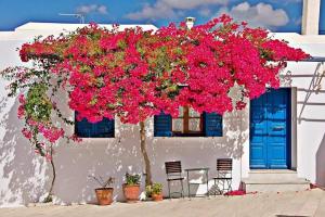 StudioCalypso Paros Greece