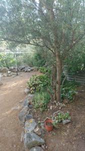 Maisons de vacances Les gites de lozari : photos des chambres