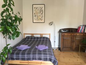 Sunrise apartment in the quiet centre