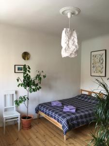 Sunrise apartment in the quiet centre