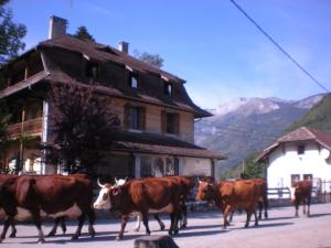 Maisons d'hotes Gite Les Mesanges : photos des chambres