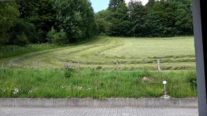 Niedersfeld Polzweg
