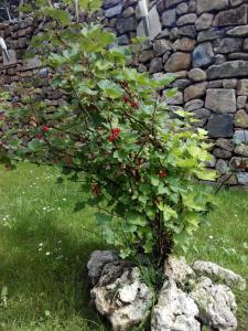 Posada Montero de la Concha