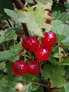 Posada Montero de la Concha