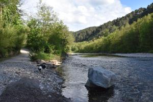 Campings Camping des Drouilhedes : photos des chambres
