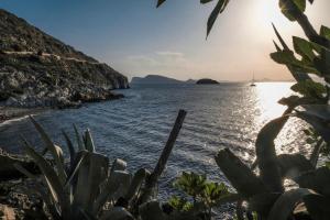 Lotus Sweet Home Hydra