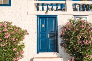 Lotus Sweet Home Hydra