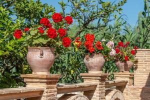 Zakynthos Traditional Villa Zakynthos Greece