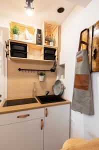 studio11 apartments MIST -tomšičeva 3