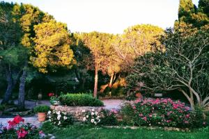 Appartements Residence Le Saint Victor : photos des chambres