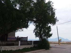 House Kosmas on the beach Halkidiki Greece