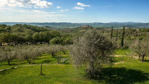 Agriturismo Bio Le Macchie Alte