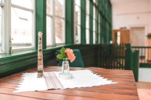 Guesthouse Casa Baciu