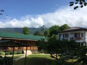 Ruchey Mini-hotel - Psysh