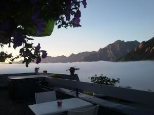 B&B / Chambres d'hotes Gite Chalet du Soulor : photos des chambres