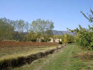 Maisons de vacances Gite Aux Tournesols : photos des chambres