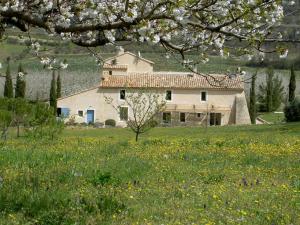 Maisons de vacances Gite Aux Tournesols : photos des chambres