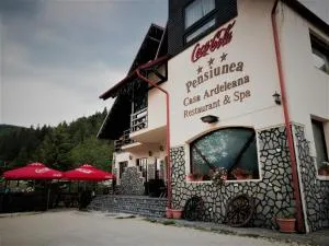 Casa Ardeleana - 阿祖加