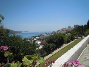 Blue Dolphin Andros Greece