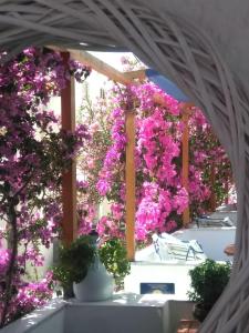 Doron Hotel Delfini Naxos Greece